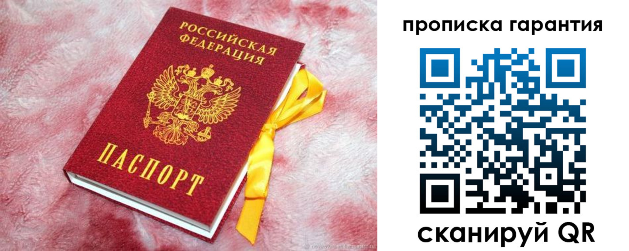 прописка поиск в Димитровграде